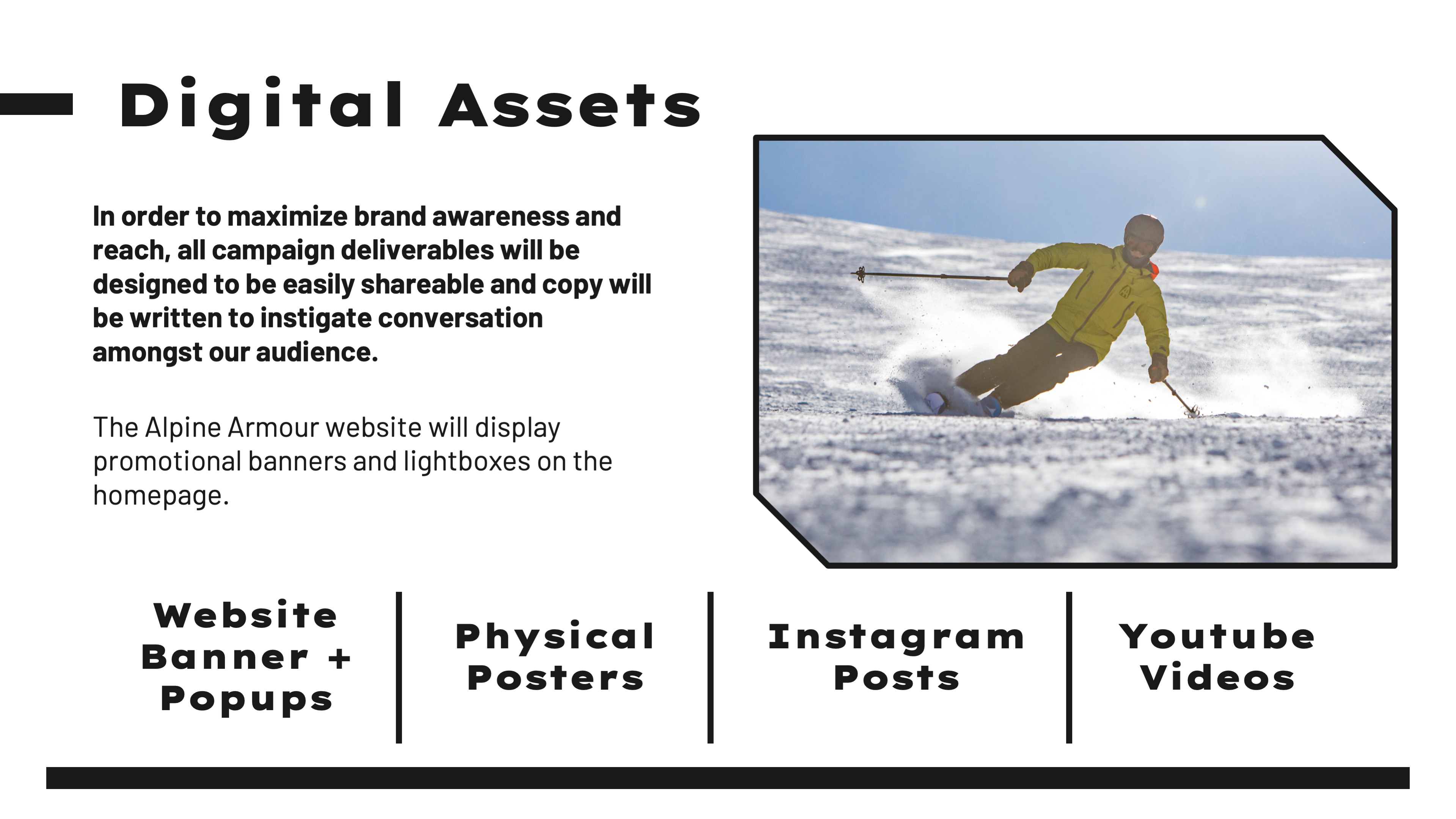 Alpine Armour Project - Artifact Image