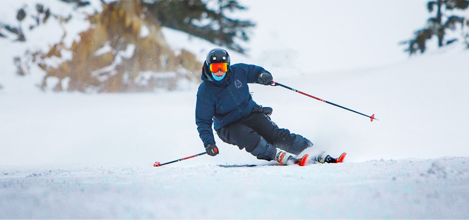 Alpine Armour Project - Artifact Image