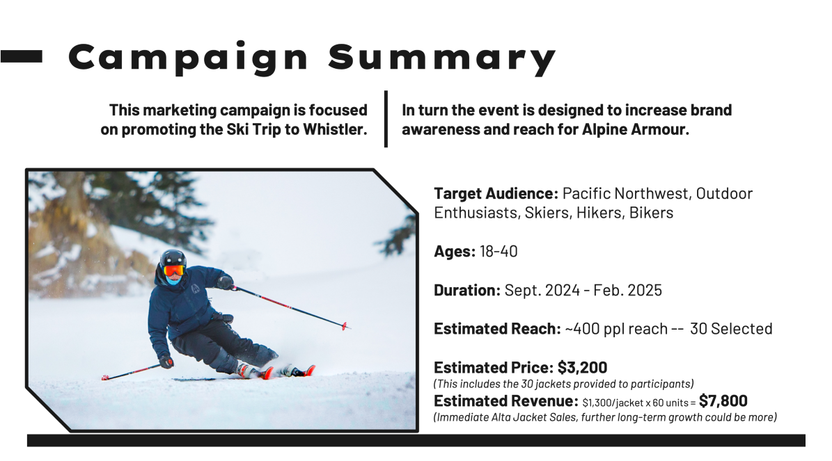 Alpine Armour Project - Artifact Image